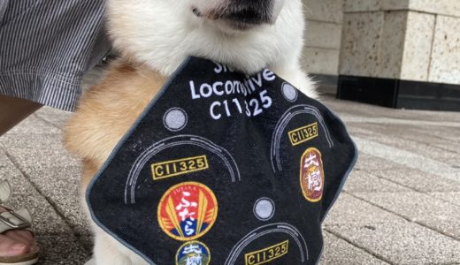 日光のSL  .その2